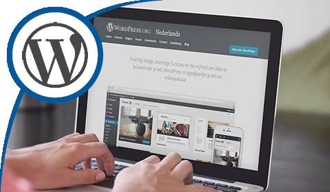 Wordpress